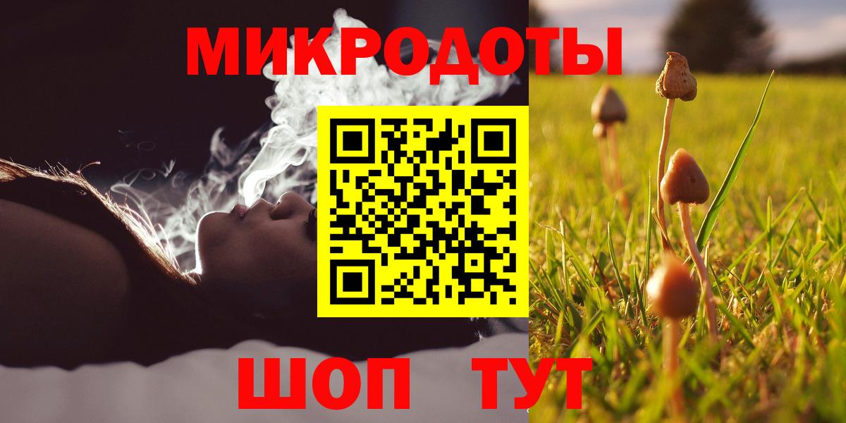 Галлюциногенные грибы Psilocybine cubensis Янаул